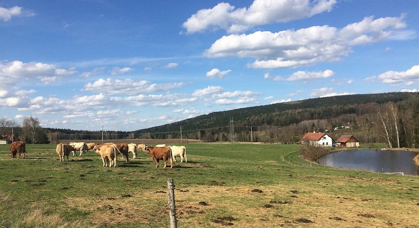 Zemědělská společnost Mlázovice