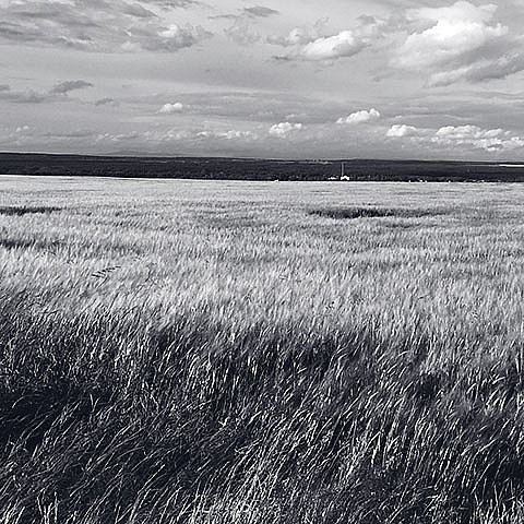 Land